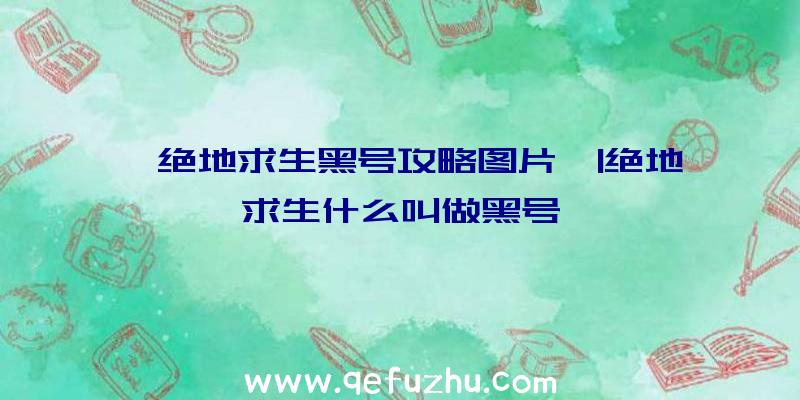 「绝地求生黑号攻略图片」|绝地求生什么叫做黑号